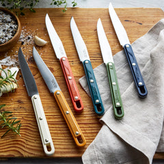 Stanley Tucci™ 6-Piece Steak Knife Set with Wood Tray | Multicolor