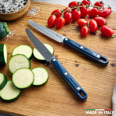 Stanley Tucci™ 2-Piece Prep Knife Set | Marino Blue